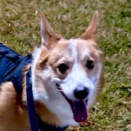 사용자 프로필 1