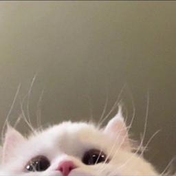 사용자 프로필 1