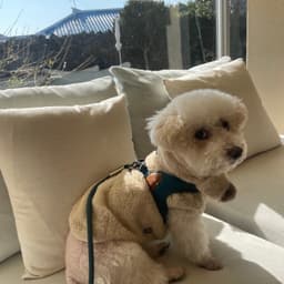 김경미의 프로필 이미지
