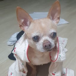 정여진의 프로필 이미지
