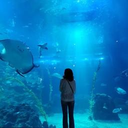 사용자 프로필 1