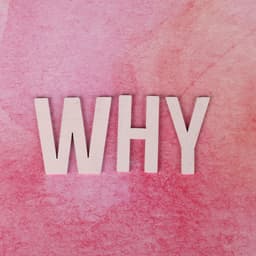 김진영의 프로필 이미지