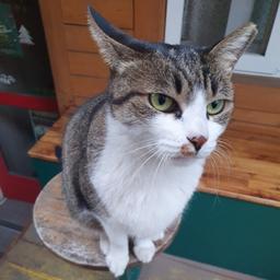 사용자 프로필 1