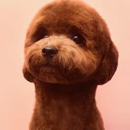 서인호의 프로필 이미지