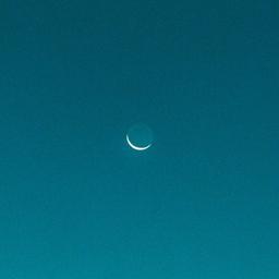 사용자 프로필 1