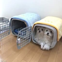 김정희의 프로필 이미지