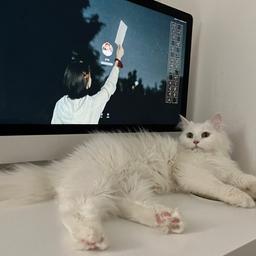 사용자 프로필 1