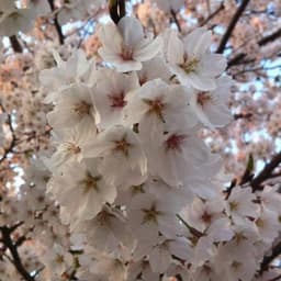 신나리의 프로필 이미지