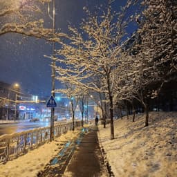 오유찬의 프로필 이미지