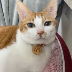 현재민의 프로필 이미지