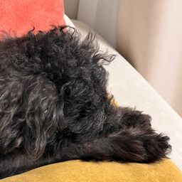 사용자 프로필 1