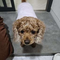 사용자 프로필 1