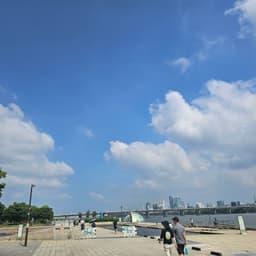 정평화의 프로필 이미지