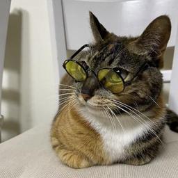 사용자 프로필 1