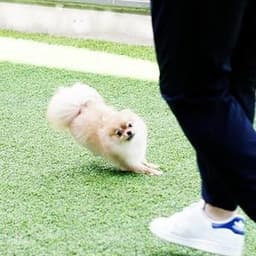 남덕우의 프로필 이미지