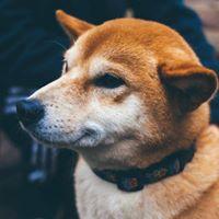 사용자 프로필 1