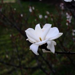 사용자 프로필 1