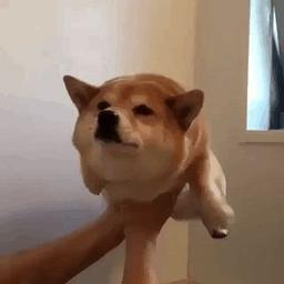 사용자 프로필 1