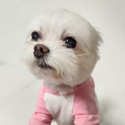 이상헌의 프로필 이미지