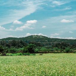 사용자 프로필 1