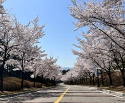 고일혁의 프로필 이미지