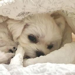 사용자 프로필 1