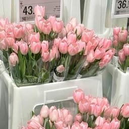 이제아의 프로필 이미지