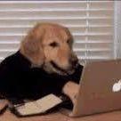 사용자 프로필 1