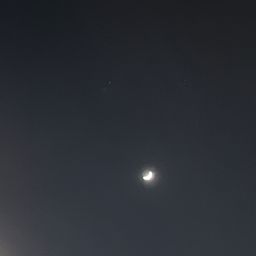 사용자 프로필 1