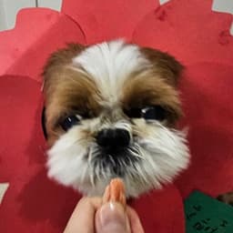 김은경의 프로필 이미지