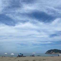 엄주원의 프로필 이미지