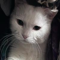 사용자 프로필 1