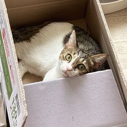 사용자 프로필 1