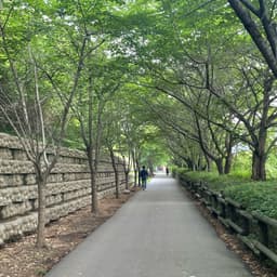 김채영의 프로필 이미지