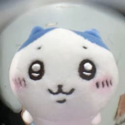 신유정의 프로필 이미지