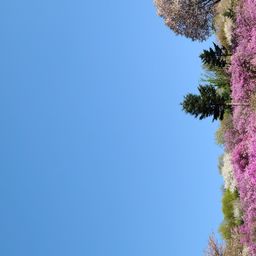 사용자 프로필 1