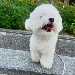 사용자 프로필 1