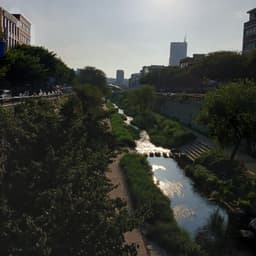 SeoRobert의 프로필 이미지