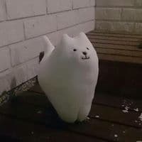 서다강의 프로필 이미지