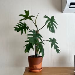 정단비의 프로필 이미지