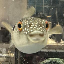 사용자 프로필 1