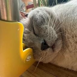 사용자 프로필 1