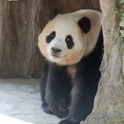 사용자 프로필 1