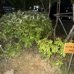 사용자 프로필 1