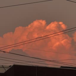 강민수의 프로필 이미지