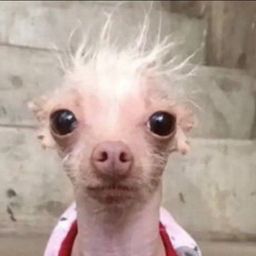 사용자 프로필 1