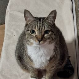 김주영의 프로필 이미지