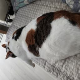 연찬영의 프로필 이미지