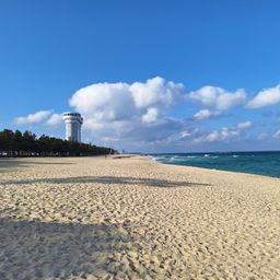 사용자 프로필 1