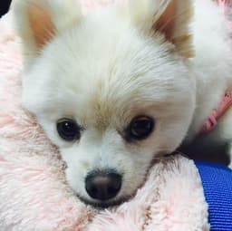 조유미의 프로필 이미지